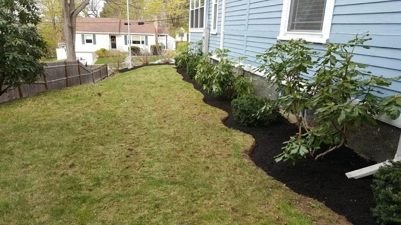 Tips For Property Landscaping Lines