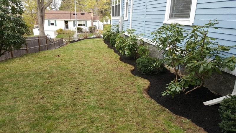 property landscaping lines tips line