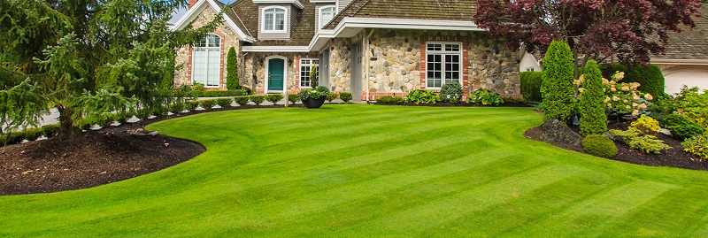 Landscaping Services Near North Shore
