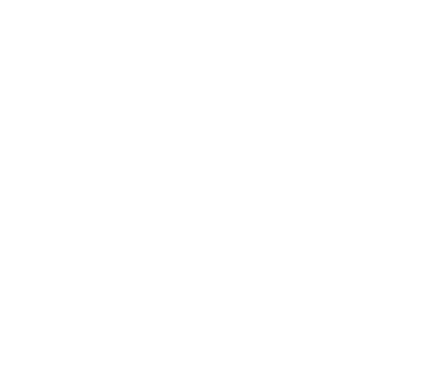 THE PROS INC.