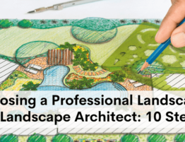 Professional Landscaper or Landscape Architect