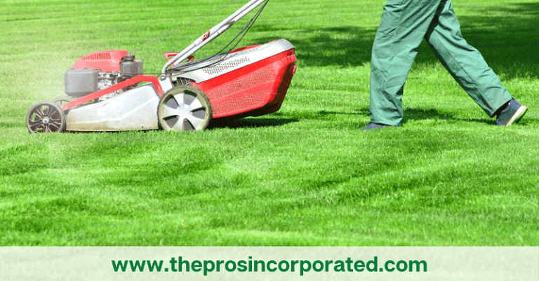 Best Lawn Care Services in Lynn, MA