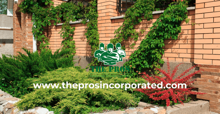 Landscape Construction & Maintenance