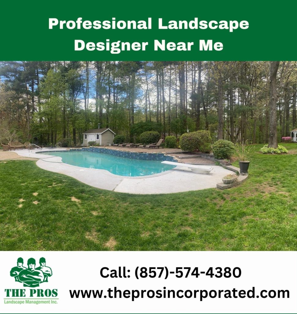 Hiring Professional Landscape Designer Near Me The Pros Inc