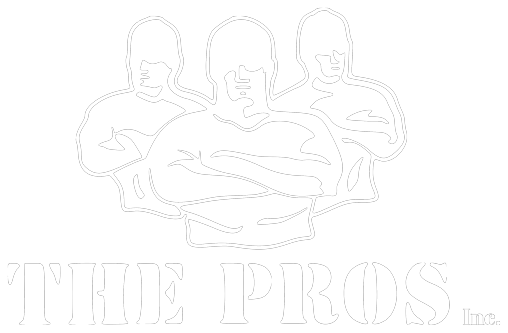 THE PROS INC.