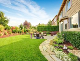 landscaping ideas for 2023