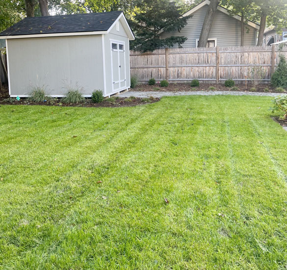 Lawn returfing