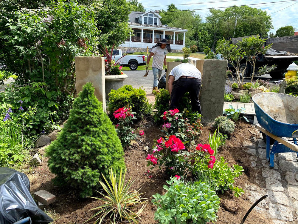 landscape-Planting