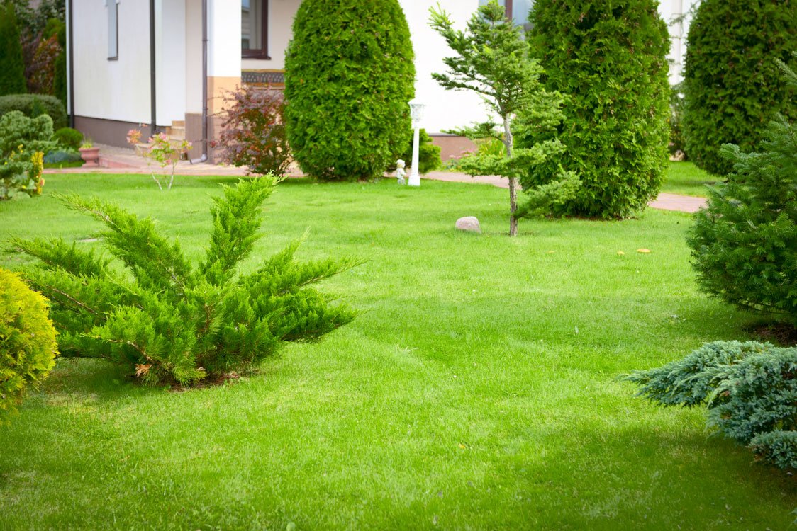 landscaping-companies-near-me-North-Shore-MA-Essex-County-Middlesex-County