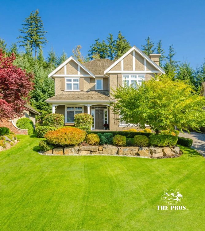 Landscape-Designer-Near-Me