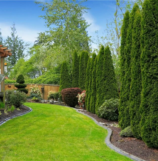 Layered-Planting-&-Native-Species-landscaping-Lynnfield-MA