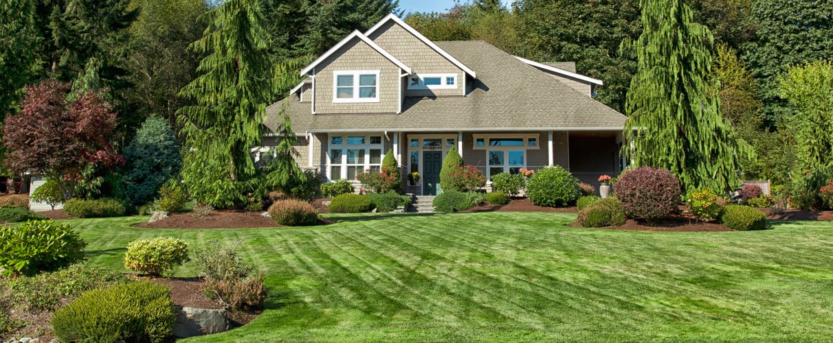 landscapers-near-me