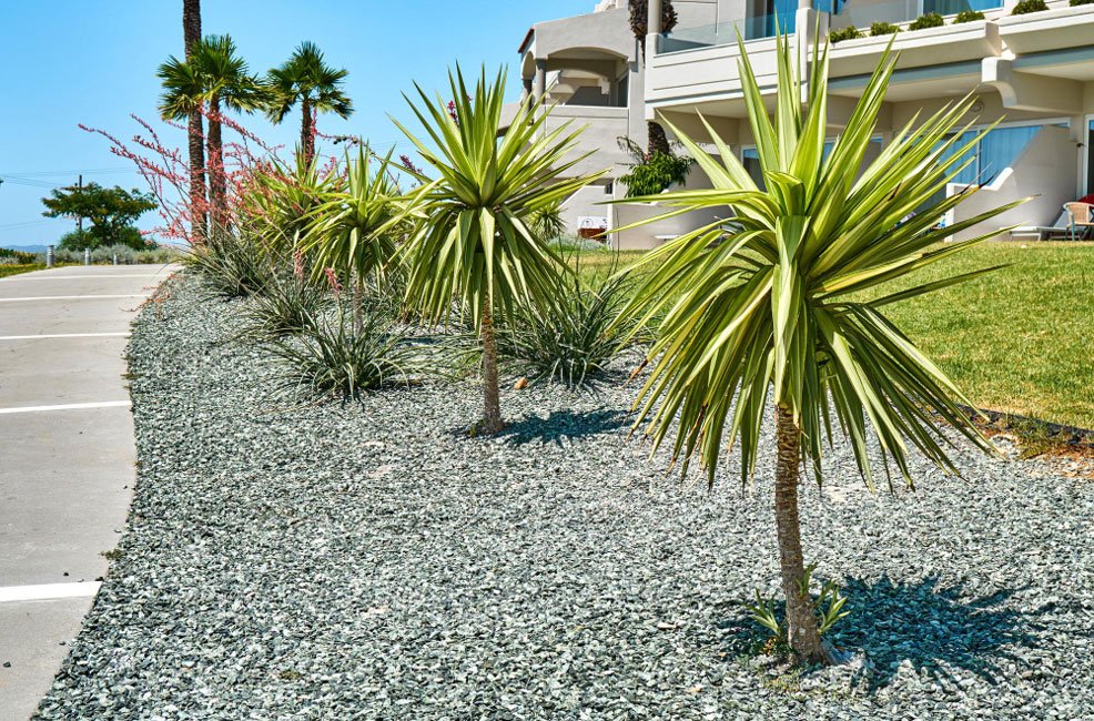 coastal-hardscaping-patio-installation-in-Massachusetts