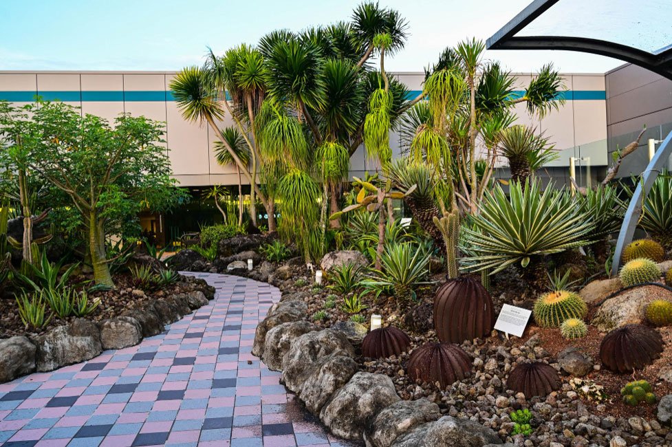 wind-resistant-coastal-landscape-design-for-MA-homes