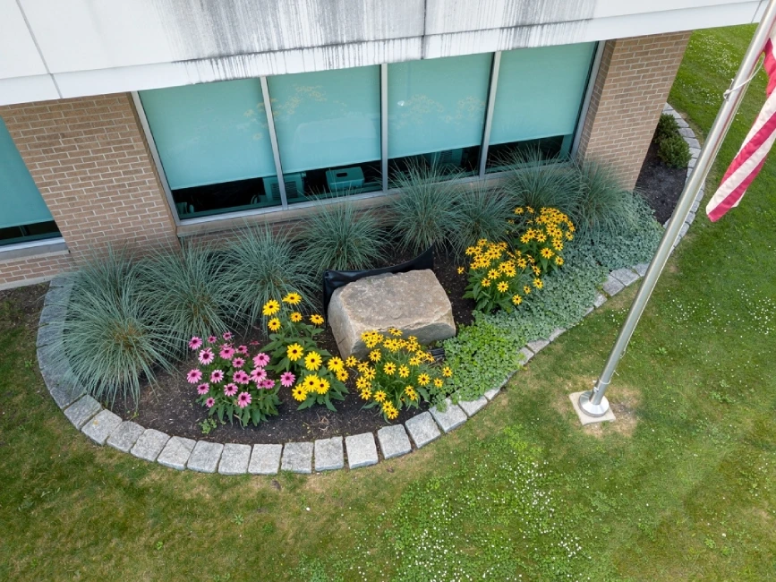 Curved perennial garden bed at Massachusetts office
