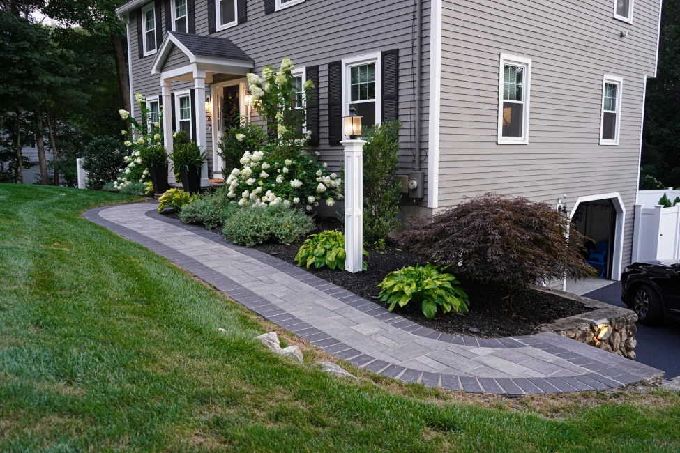 Foundation planting in Merrimac, Massachusetts - hydrangeas at entry