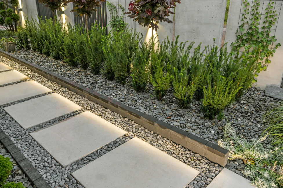 Modern stepping stone walkway with vertical garden trellis and climbing ivy, Massachusetts landscaping
