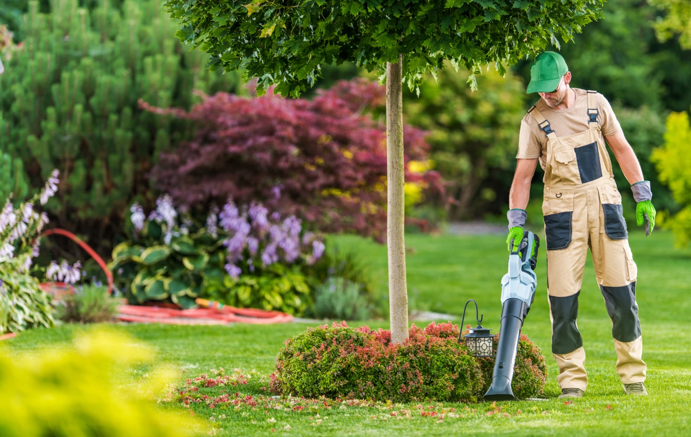 Landscaper blowing leaves near tree and shrubs at Massachusetts spring cleanup