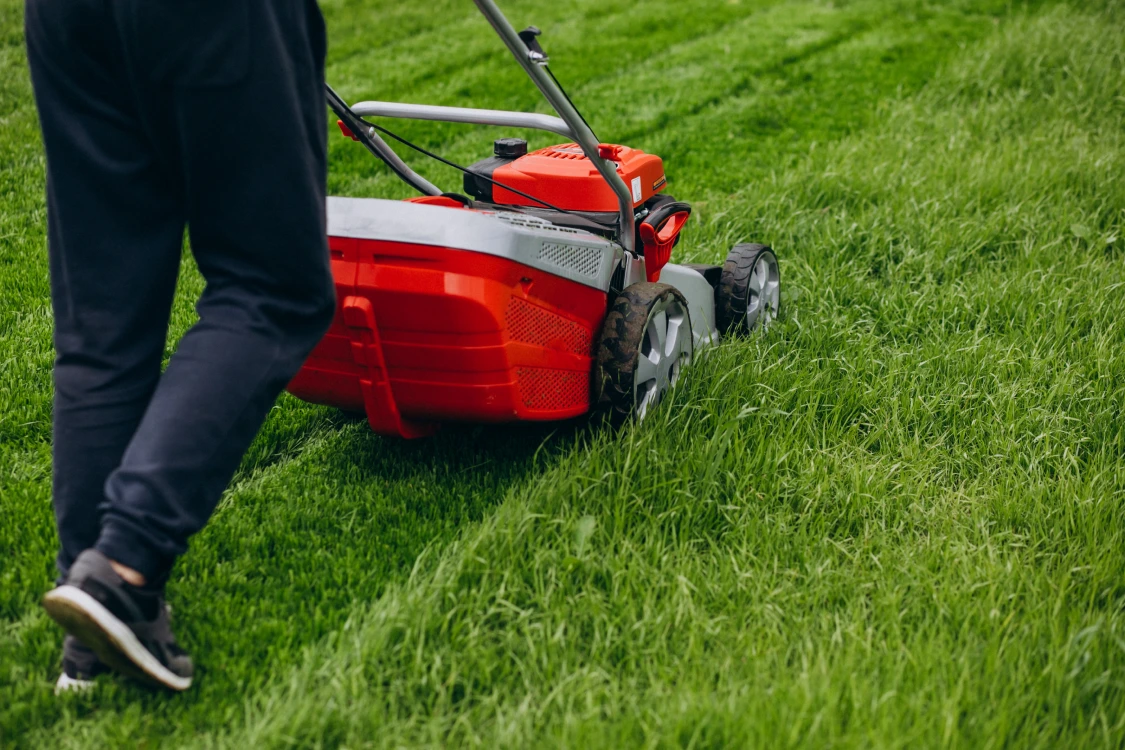 Lawn mowing service at Massachusetts home during spring cleanup