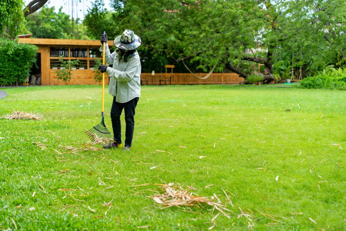 Massachusetts lawn cleanup service raking yard debris near home