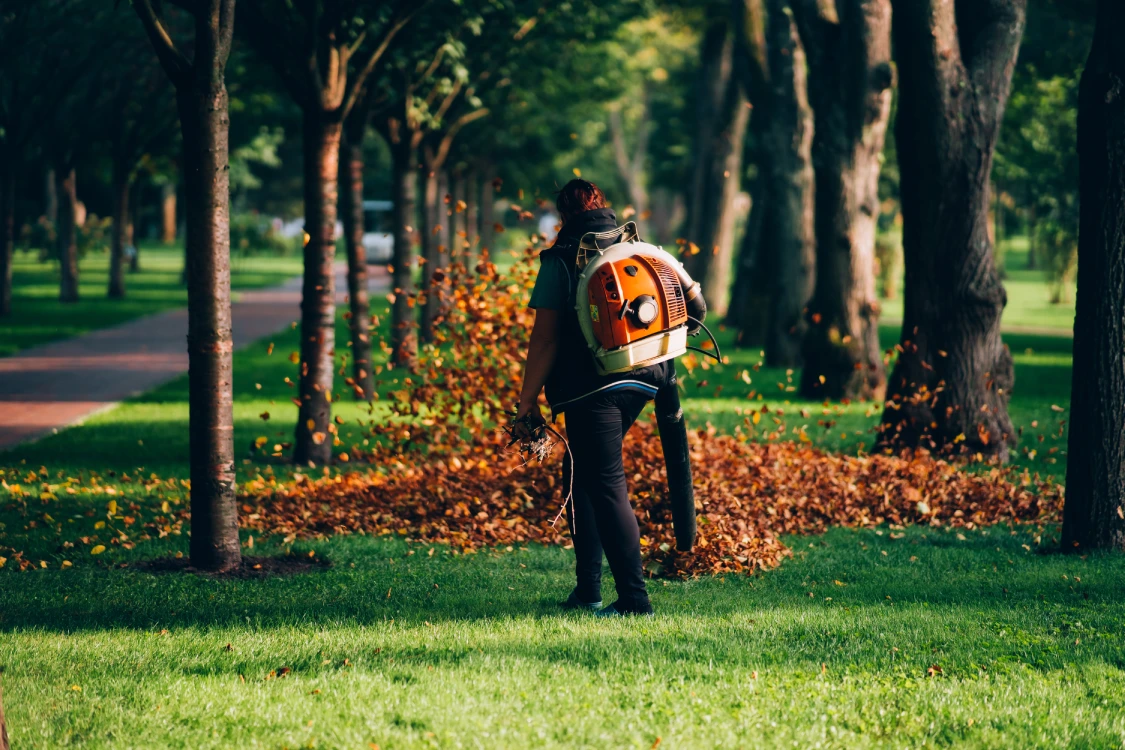 Massachusetts park fall cleanup with Stihl backpack leaf blower