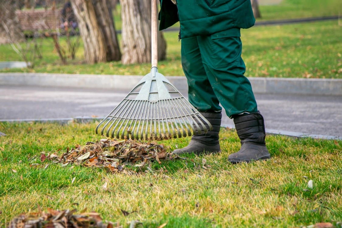 Spring cleanup crew raking leaves at Massachusetts residential property