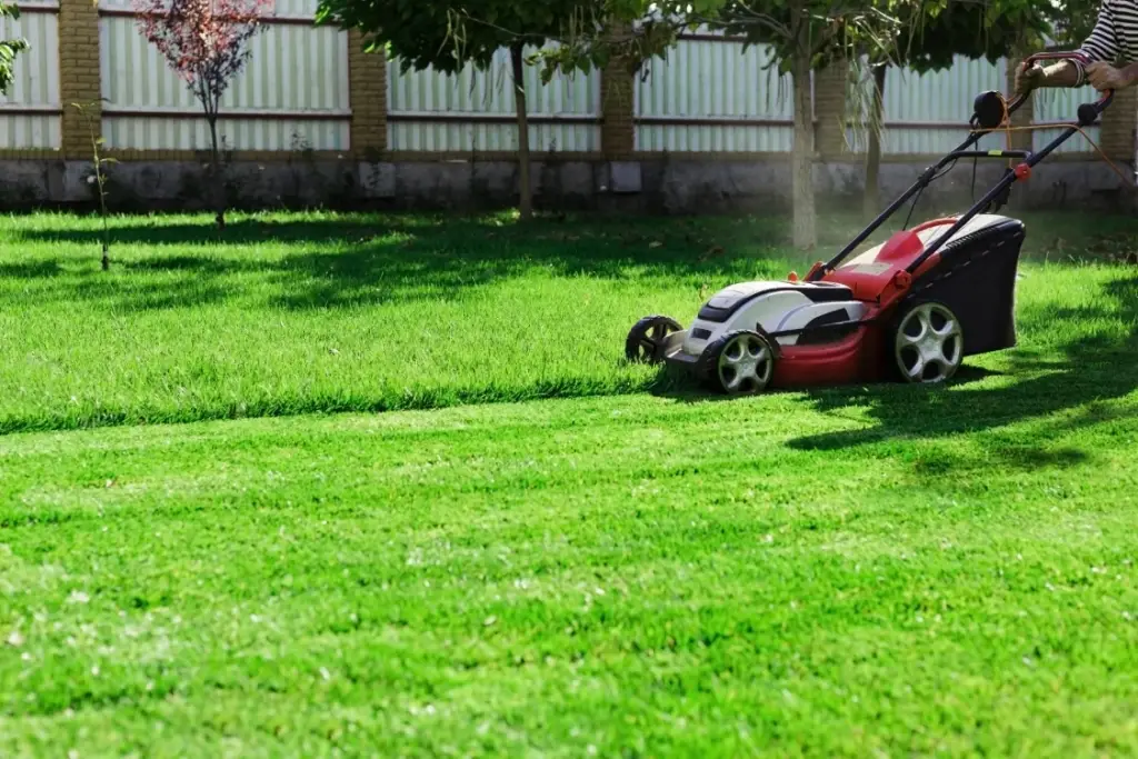 Spring lawn mowing service at Massachusetts residential backyard
