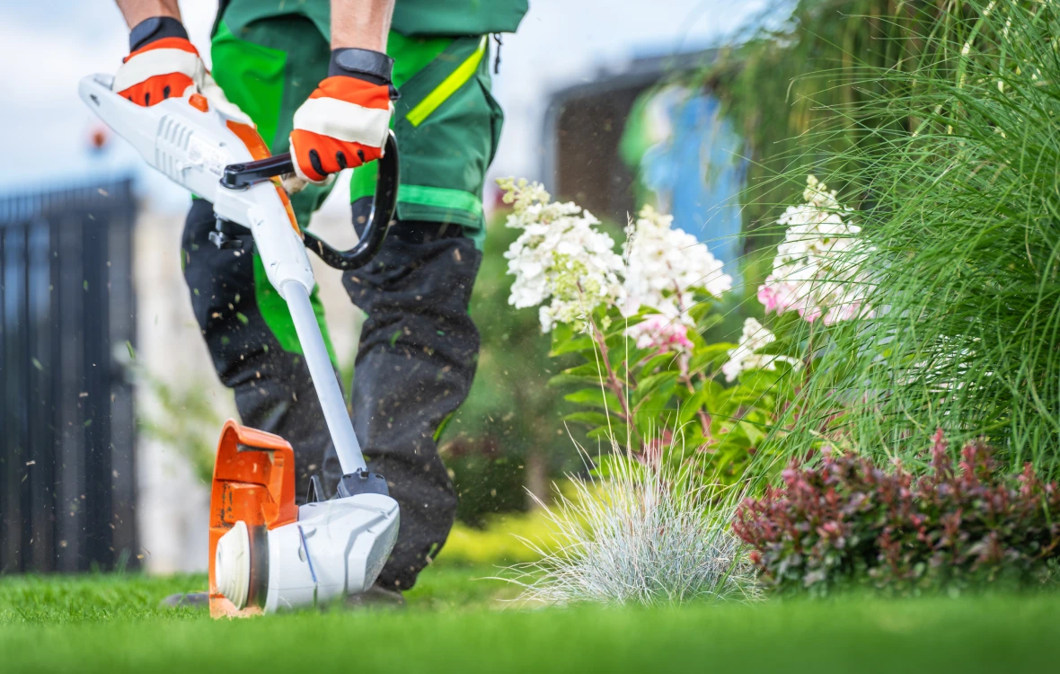 Spring yard cleanup with string trimmer bed edging at Massachusetts property