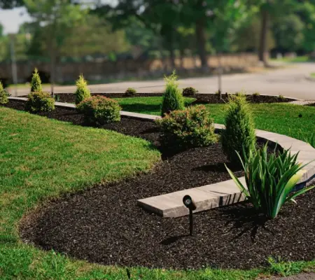 Fresh sod installation Massachusetts curved landscape border arborvitae lighting