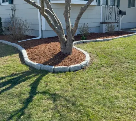 Front yard tree island with cobblestone edging in MA