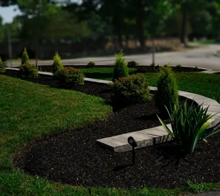 Native plant landscaping in Haverhill, Massachusetts - tiered garden bed