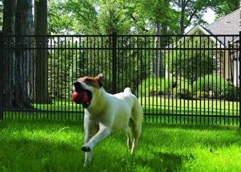 Pet-Friendly Fences Pet-Friendly Fences