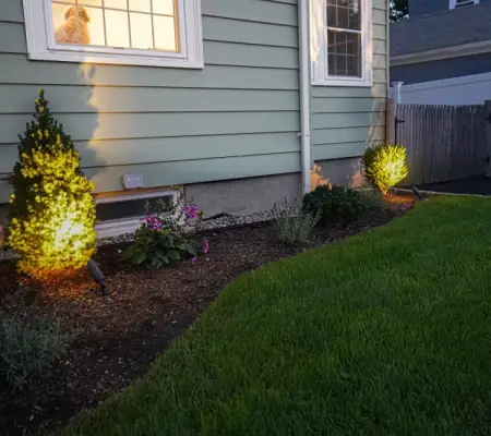 Seasonal color garden in Amesbury, Massachusetts - lit evergreens
