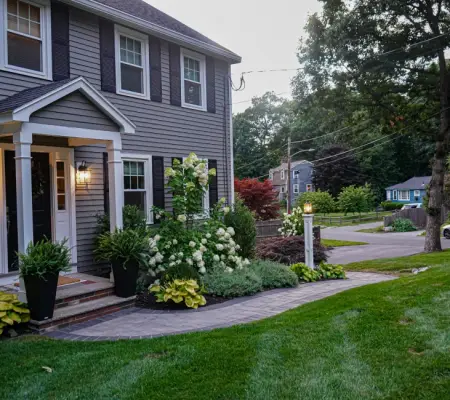 Sod lawn installation Massachusetts front walkway paver design hosta plantings