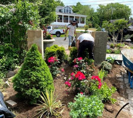 landscape-Planting