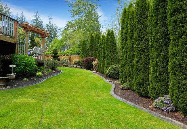 landscape design companies near me