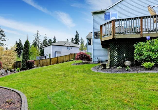 landscaping-company-near-me